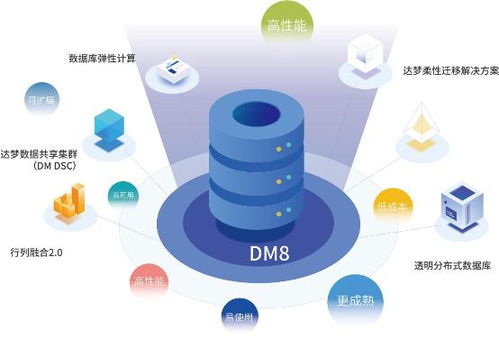 活字格兼容達(dá)夢dm8,低代碼支持?jǐn)?shù)據(jù)庫國產(chǎn)化